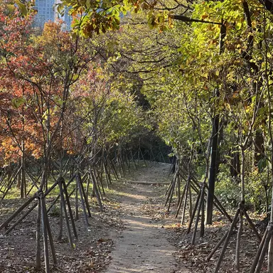 Profile image of 잠뜰