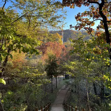 Profile image of 공룡