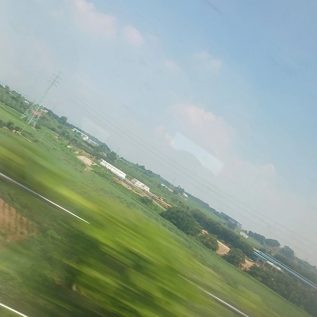 김동현