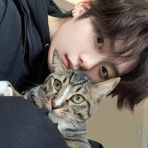 시현