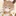 ユズ