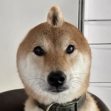 Profile image of 主