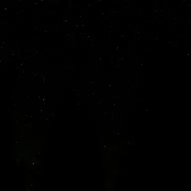 Profile image of 서태호