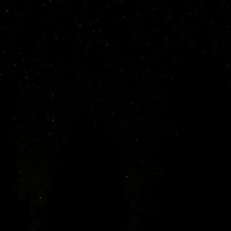 QuaintPika9247의 똥쟁이 남매