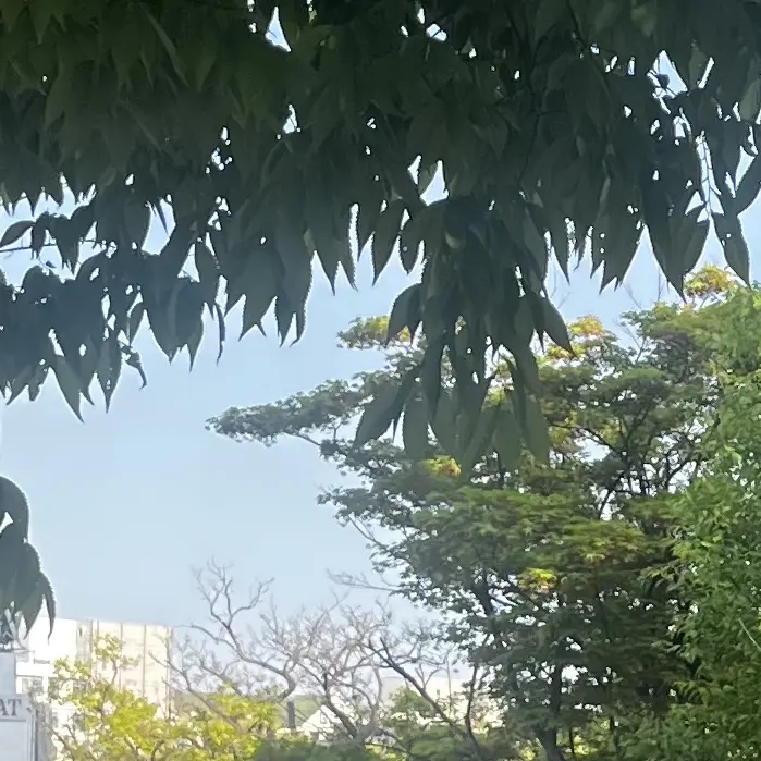 yango의 김준구