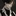 박준