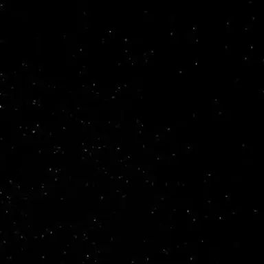 Profile image of 安元洋貴