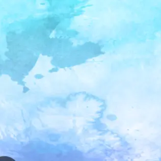 Profile image of 안나