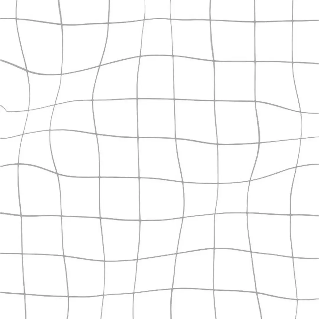 FoggySitar3152의 異常