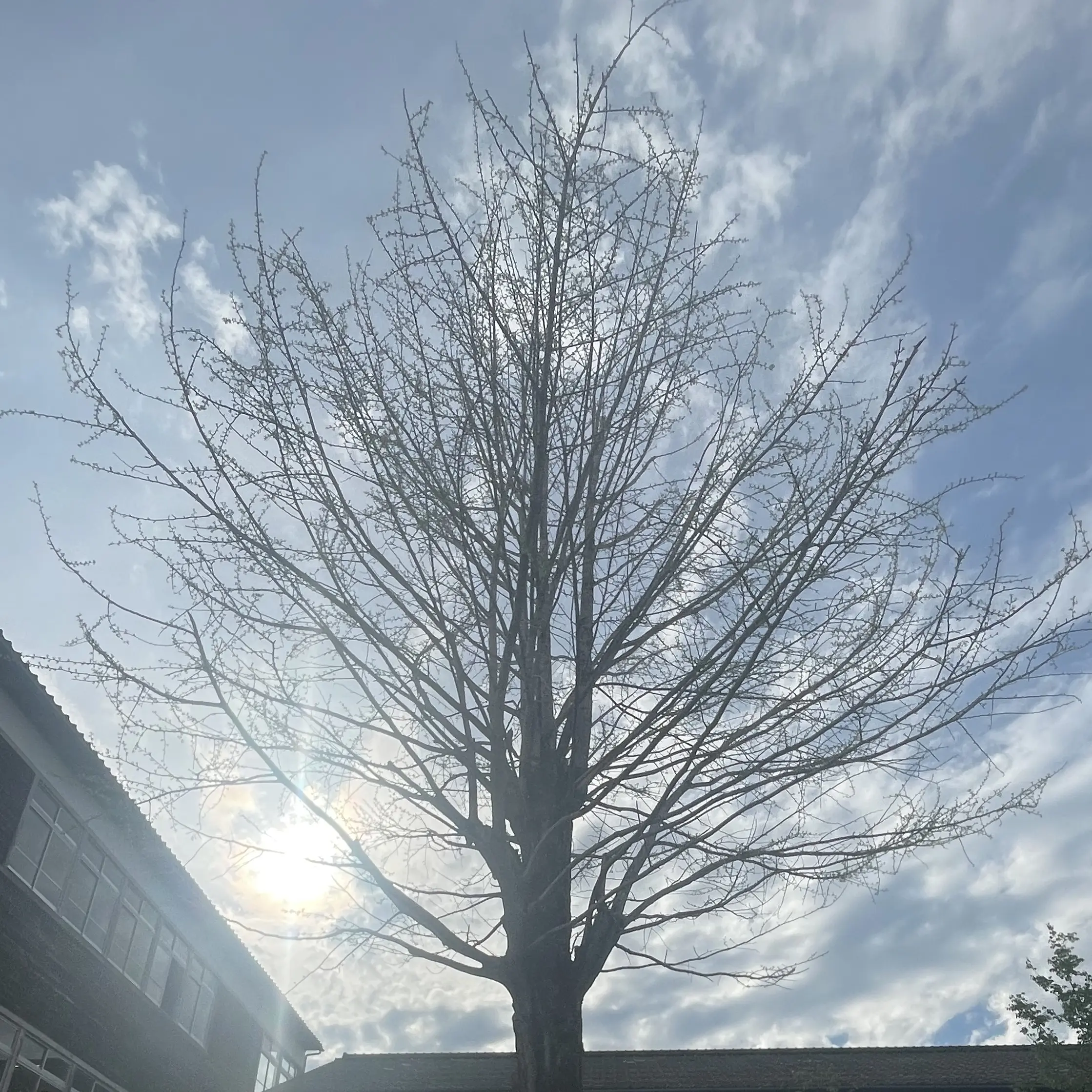 mga_mrs.의 学校