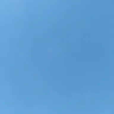 Profile image of 잠뜰