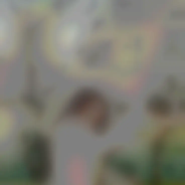 S.H.Kang의 이나경