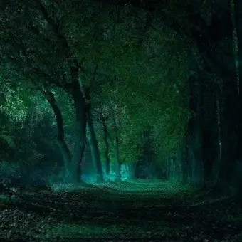 BronzeCloud2554의 최종결전 끝나가는데 혈귀가 된 탄지로