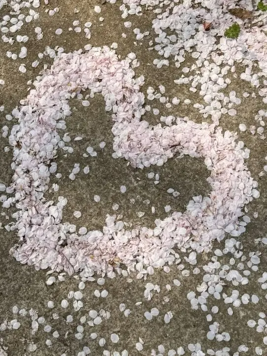 HEYA_heya_Michin.nom.geinmz의 "지금 당장 윤회-!"