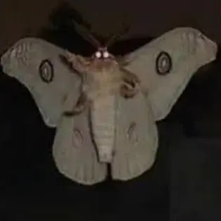 Profile image of Death Moths
