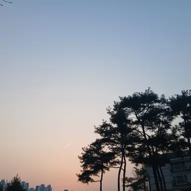 Profile image of 손님 4