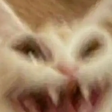 Profile image of 늑대