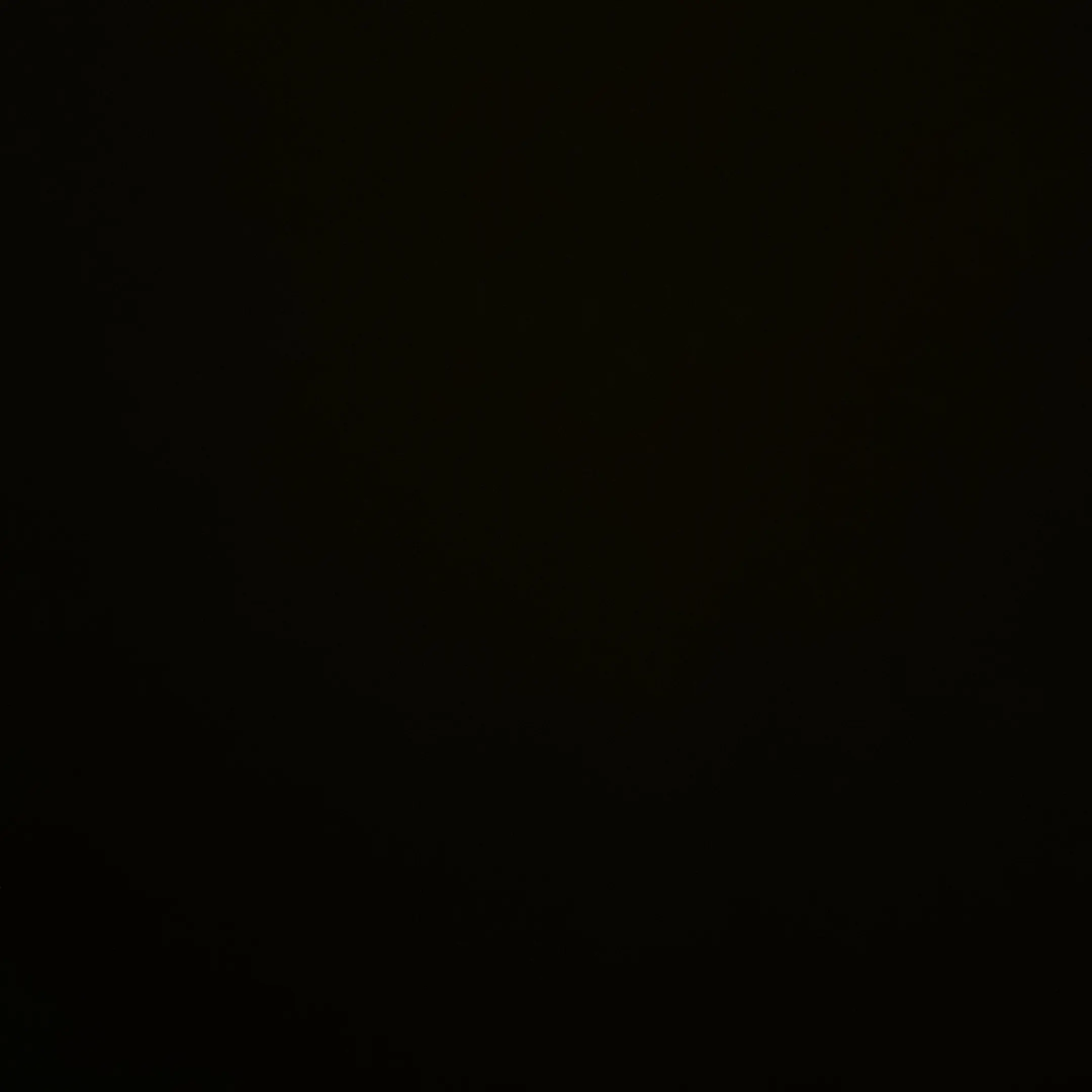 BEE_PINO의 포세이큰과 동거