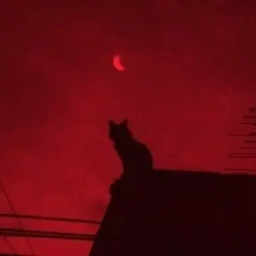 Profile image of あかいこ