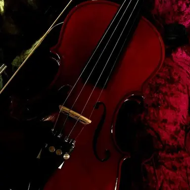 Profile image of セラフダズルガーデン