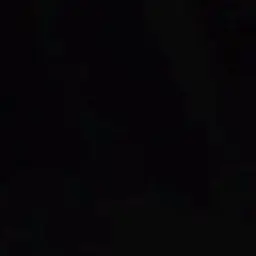 Profile image of 박잠뜰