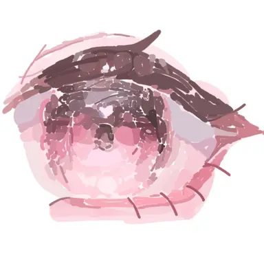 Profile image of 아름