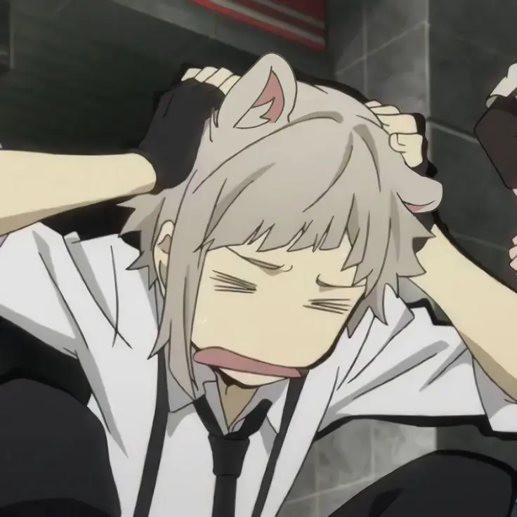 Mikakokenak--..의 Very surprising
