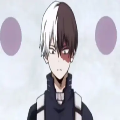Profile image of Todoroki