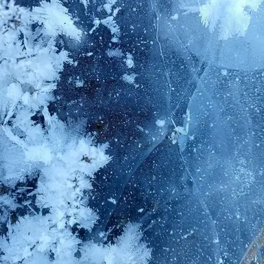 Profile image of Iceberg