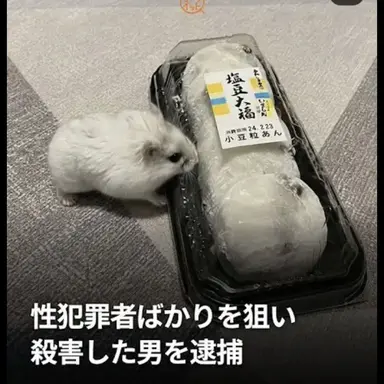 Profile image of く
