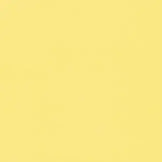 Profile image of シャオロン