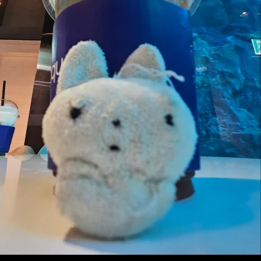 보소미