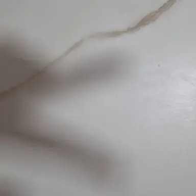 Profile image of 백하늘