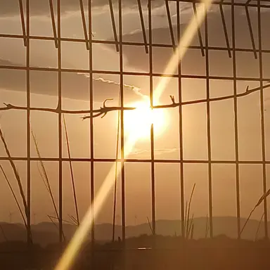 Profile image of 아름