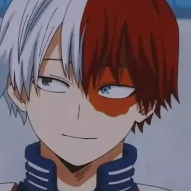Profile image of Shoto Todoroki