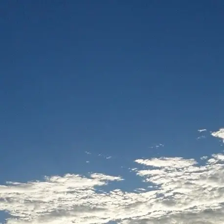 PotentYear7141의 きゃっ♡流石私の犬♡