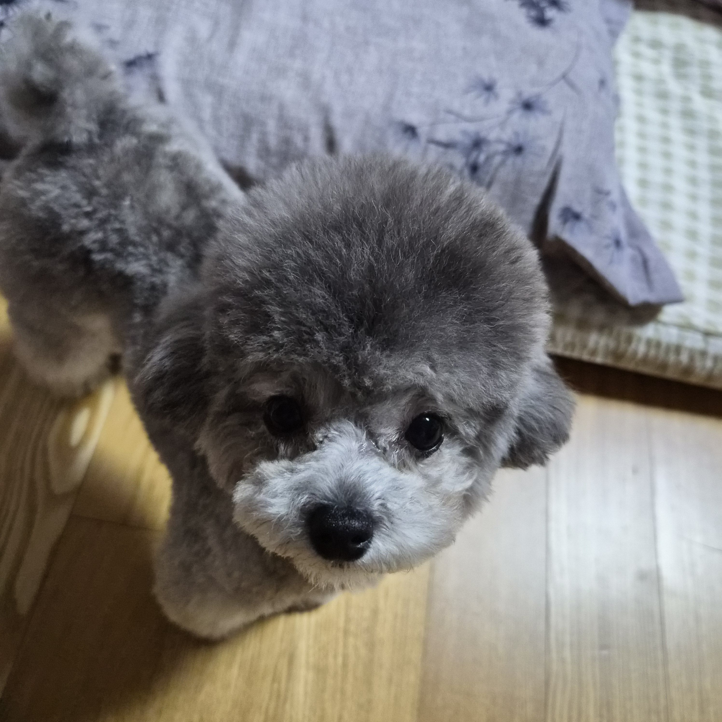 자기가 100만 유튜버라고 깝치는여우 대표 이미지