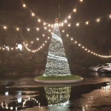 Profile image of 여우