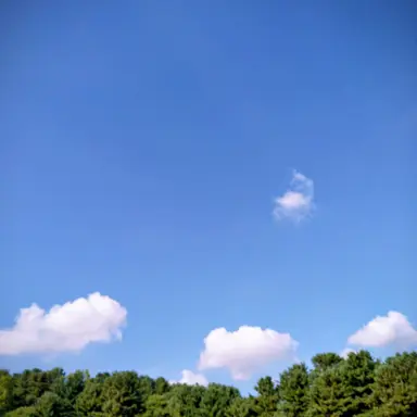 Profile image of 금비