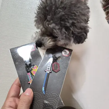 Profile image of 망묘