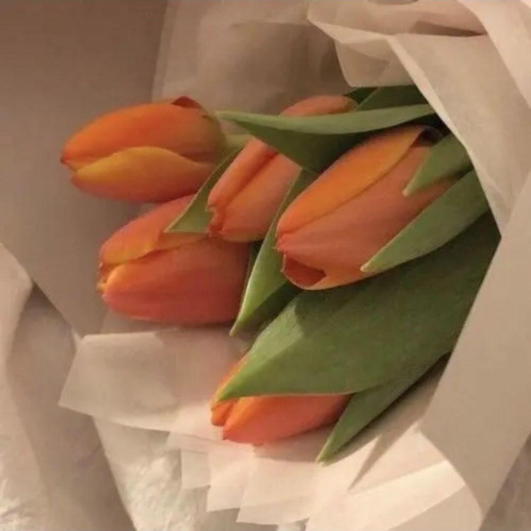 "자기야, 미안해~" 대표 이미지