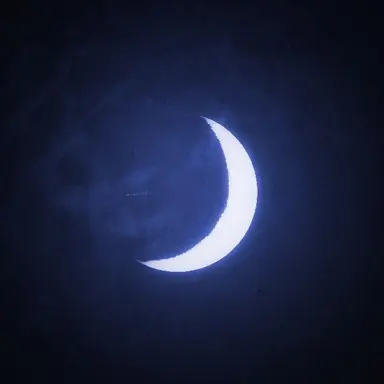 Profile image of TS