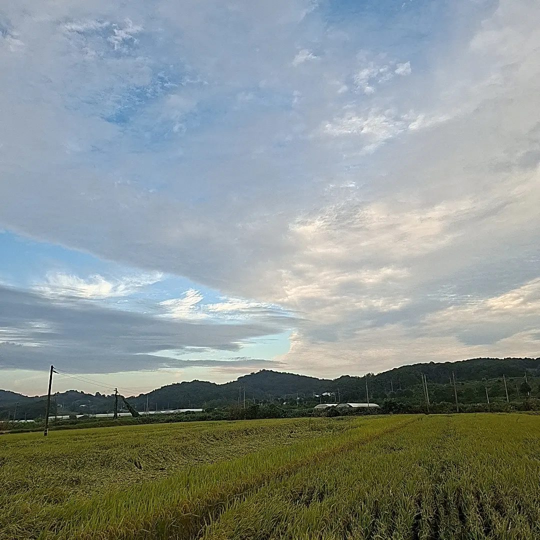 ga_in_0209의 뜰팁남사친