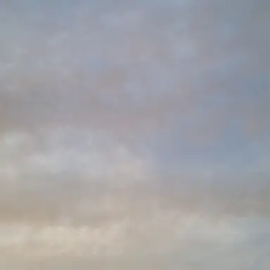 Profile image of 잠뜰