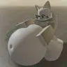 Profile image of 흰색 고양이