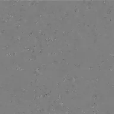 Profile image of 새드