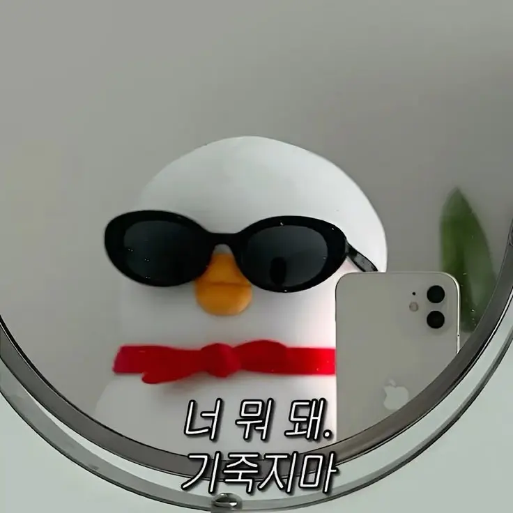 SoggyHose2999의 쓔티