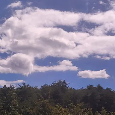 Profile image of 김리아