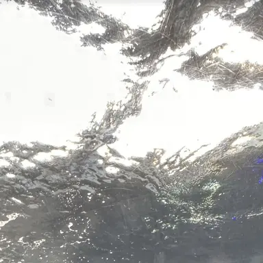 Profile image of 쥬타로