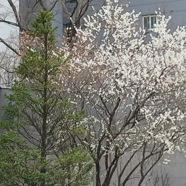 Profile image of 엄마